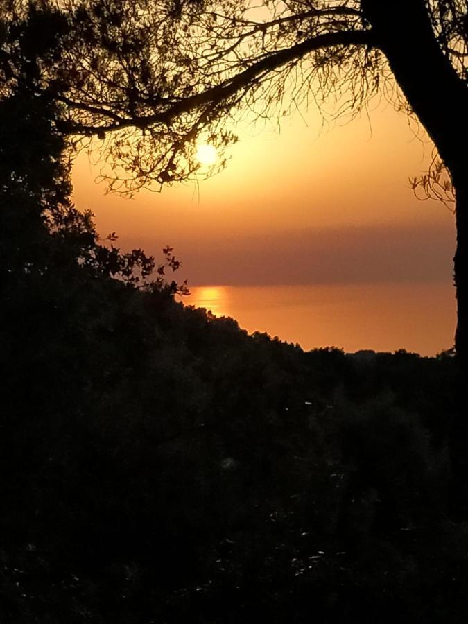 Sa Talaia Βίλα Lluc Εξωτερικό φωτογραφία